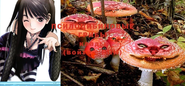 стафф Покров
